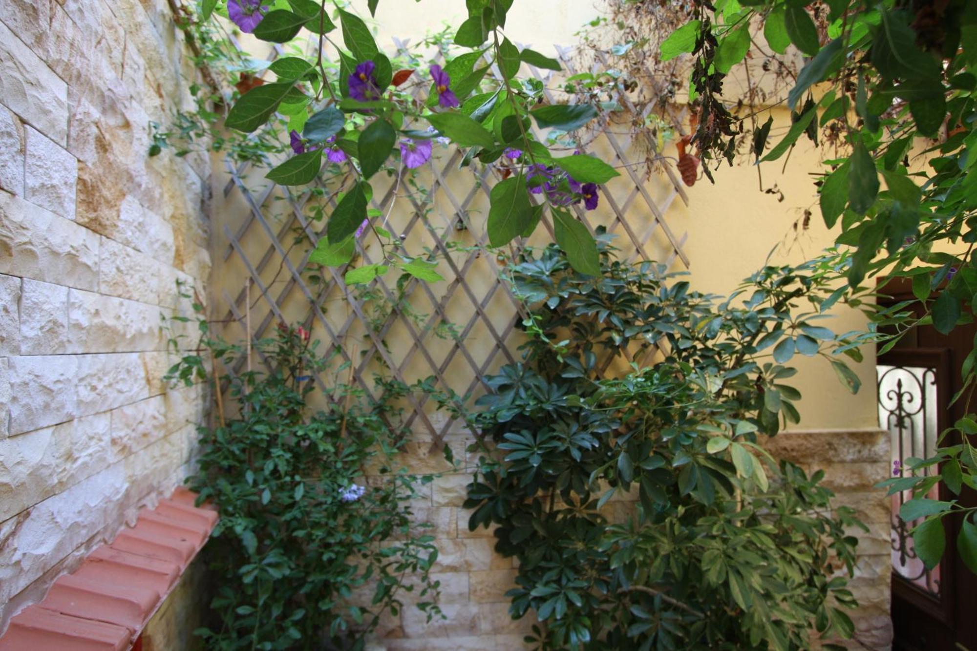 Rhodes City 索非亚旅馆酒店 外观 照片
