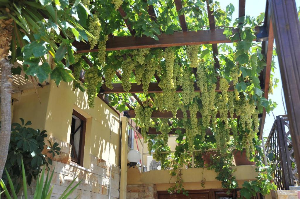 Rhodes City 索非亚旅馆酒店 外观 照片